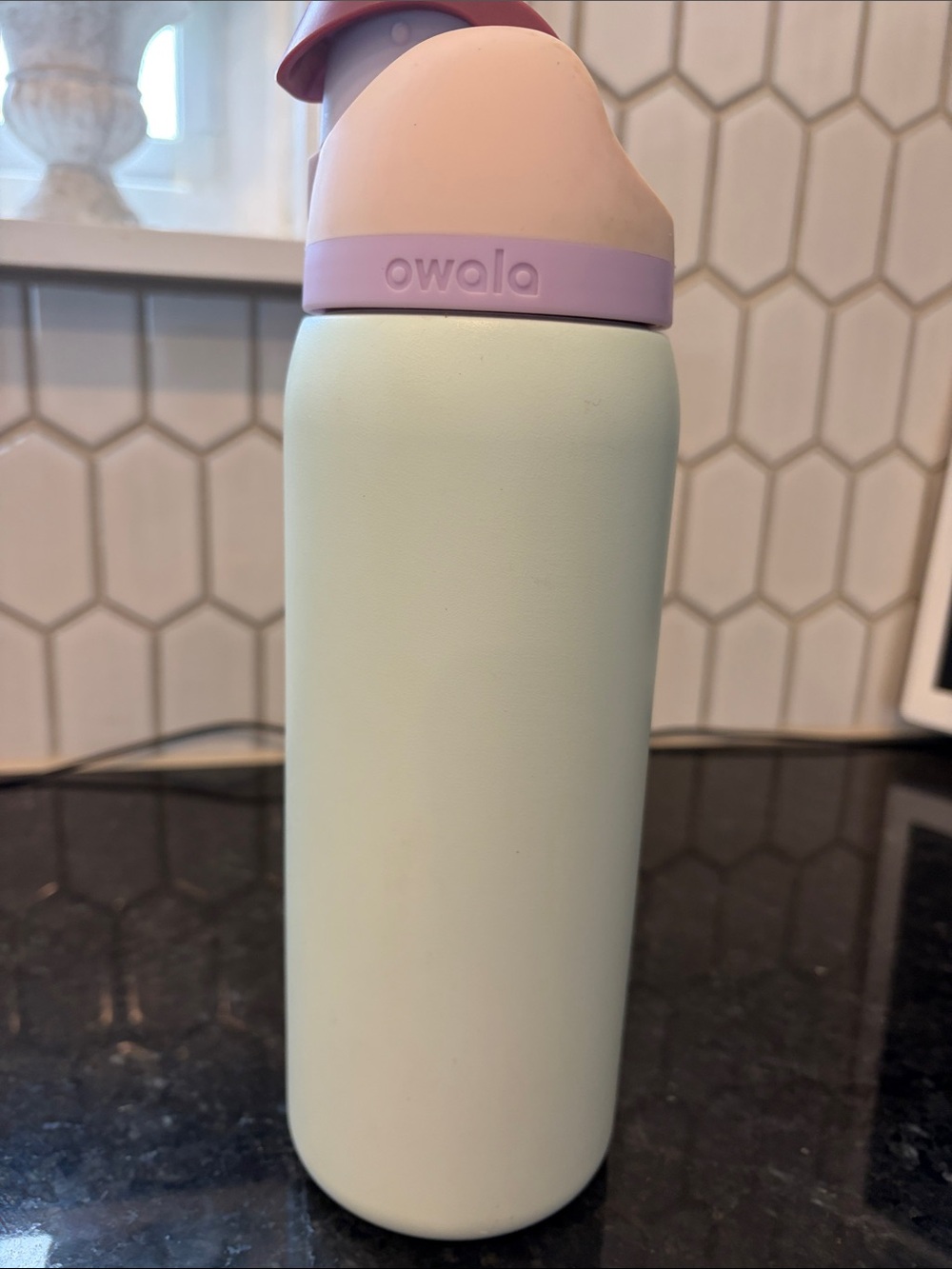 Owala Pastel Color Stainless Bottle